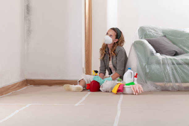 Reliable Black Mold Remediation contractor in Ramsey, MN by Mold Remediation HQ